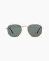 Quince Leighton Polarized Stainless Steel Sunglasses In Gold With Green Lens