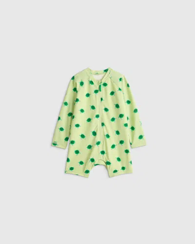 Quince Kids' Long Sleeve Zip-up Rash Guard One-piece In Multi