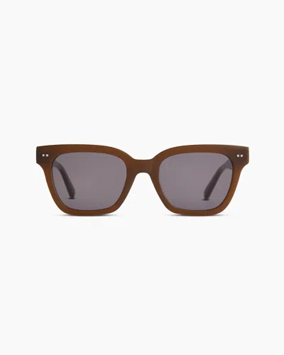 Quince Malibu Polarized Acetate Sunglasses In Espresso With Grey Lens