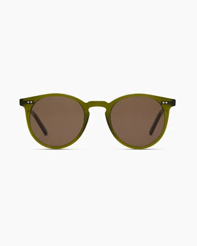 Quince Noah Polarized Acetate Sunglasses In Moss With Brown Lens