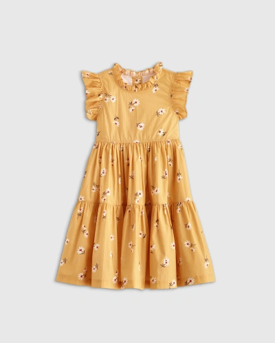 Quince Poplin Ruffle Sleeve Dress In Golden Daisy