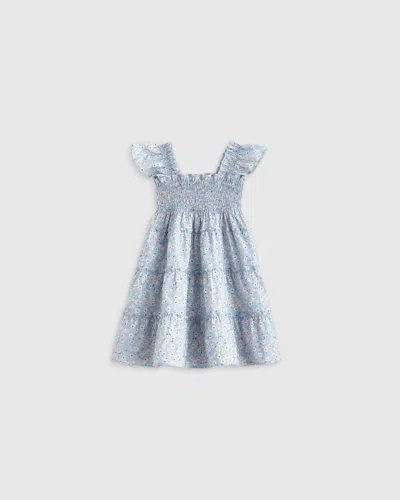 Quince Kids' Poplin Smocked Dress In Blue Ditsy Daisy