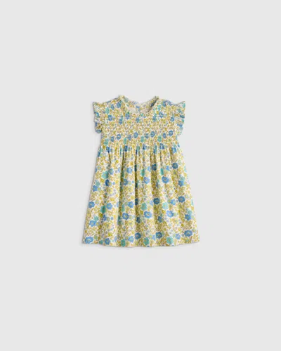 Quince Kids' Poplin Smocked Flutter Sleeve Dress In Multi