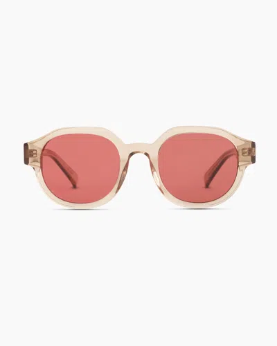 Quince Reagan Polarized Acetate Sunglasses In Clear Taupe With Pink Lens