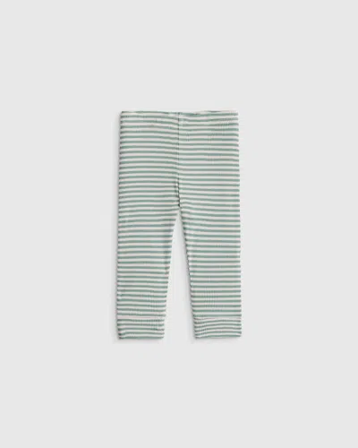Quince Kids' Softest Rib Leggings In Green
