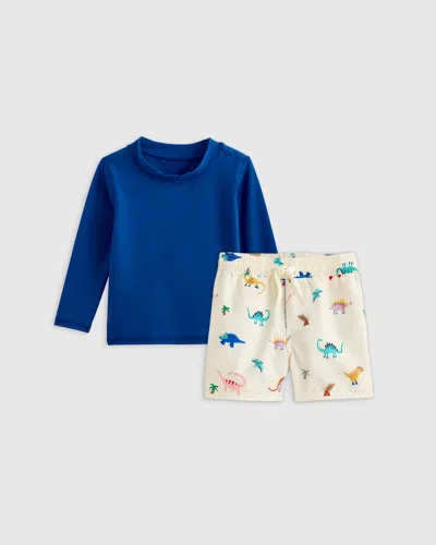 Quince Kids' Swim Trunk And Rash Guard Set In Dinosaurs