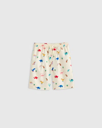 Quince Kids' Swim Trunk In Dinosaurs