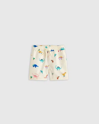 Quince Kids' Swim Trunk In Dinosaurs