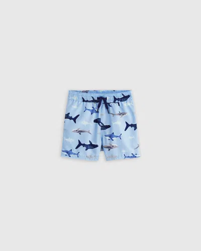 Quince Kids' Swim Trunk In Sharks