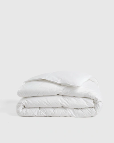 Quince Ultra Warm Premium Down Comforter, Size Full/queen