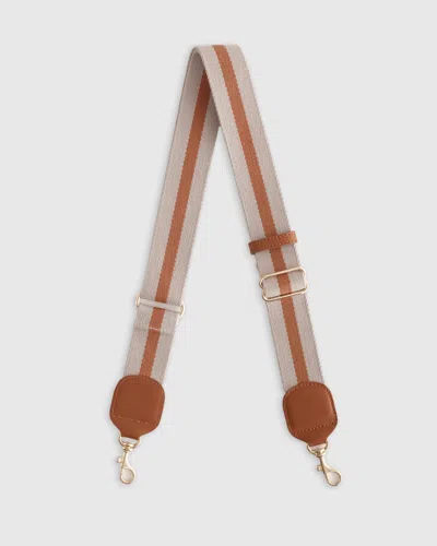 Quince Women's Adjustable Webbing Strap In Taupe/cognac