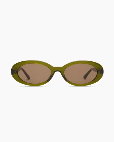 Quince Women's Bali Polarized Acetate Sunglasses In Moss With Brown Lens