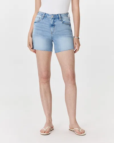 Quince Women's Bella Stretch Vintage Shorts In Blue