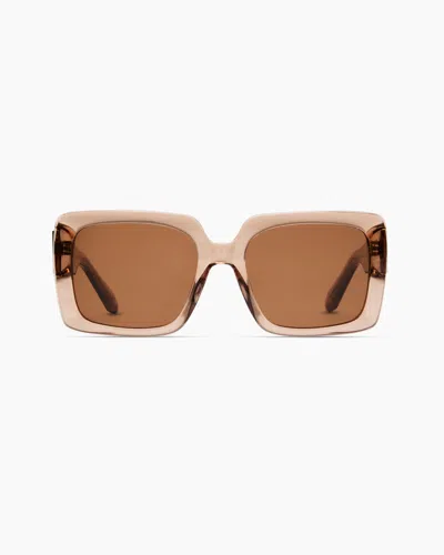 Quince Women's Cartagena Polarized Acetate Sunglasses In Clear Taupe With Brown Lens