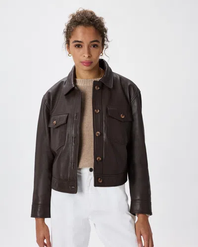 Quince Women's Cropped Jacket In Brown