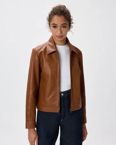 Quince Women's Cropped Zip-front Jacket In Brown
