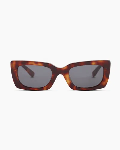 Quince Women's Emmerson Polarized Acetate Sunglasses In Ginger Tortoise With Grey Lens