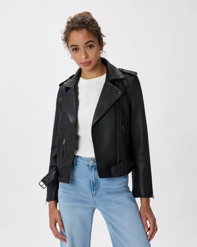 Quince Women's Motorcycle Jacket