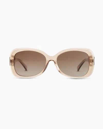 Quince Women's Naomi Polarized Acetate Sunglasses In Clear Taupe With Brown Gradient Lens