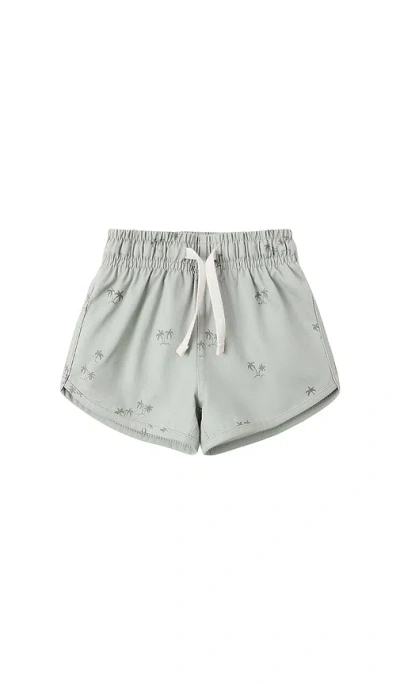 Quincy Mae Boys Swim Short In Gray