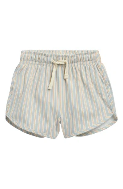 Quincy Mae Babies'  Kids' Blue N Butters Stripe Swim Shorts In Multi