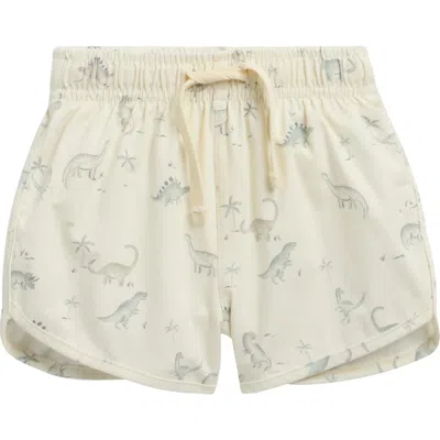 Quincy Mae Babies'  Kids' Dinosaur Swim Shorts In Brown