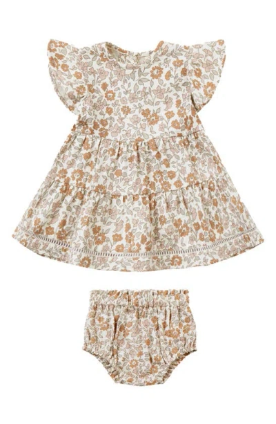 Quincy Mae Babies' Lily Floral Flutter Sleeve Organic Cotton Dress & Bloomers In Garden