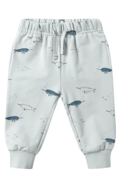 Quincy Mae Babies'  Narwahl Print Joggers In White
