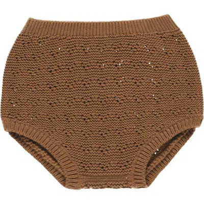 Quincy Mae Babies'  Organic Cotton Knit Bloomers In Brown