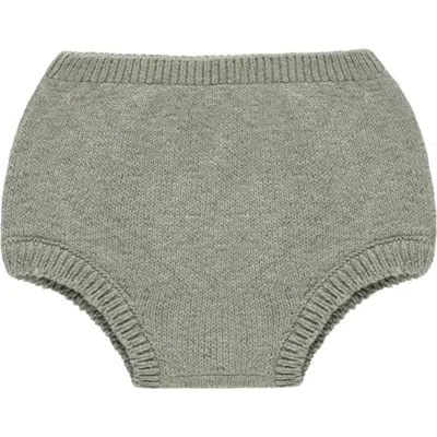 Quincy Mae Babies'  Organic Cotton Knit Bloomers In Green