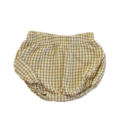Pre-owned Quincy Mae Kids' Unisex Taupe White Shorts In Green