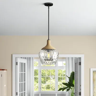 Quoizel 1 - Light Single Dome Pendant In Clear