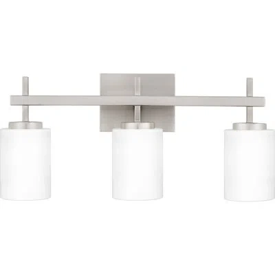 Quoizel 3 - Light Dimmable Led Vanity Light In Brushed Nickel