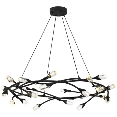 Quoizel Cora Integrated Led Matte Black Pendant Light