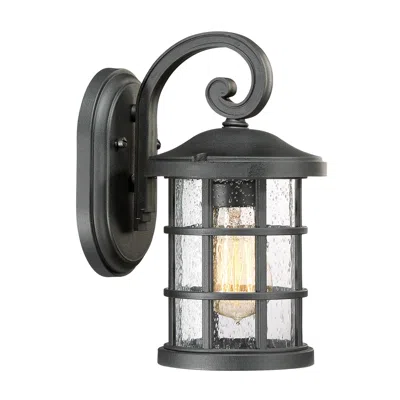 Quoizel Crusade 11" High Earth Black Outdoor Wall Light
