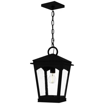 Quoizel Huck 1-light Earth Black Mini Pendant