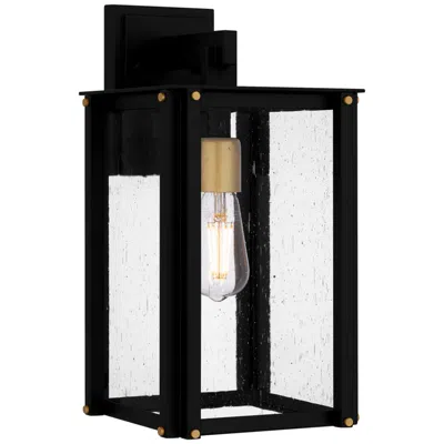 Quoizel Robbins 1-light Matte Black Outdoor Wall Lantern