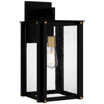 Quoizel Robbins 1-light Matte Black Outdoor Wall Lantern