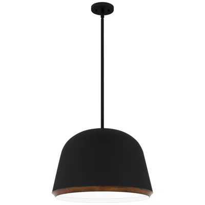 Quoizel Tamara 4-light Matte Black Pendant Light