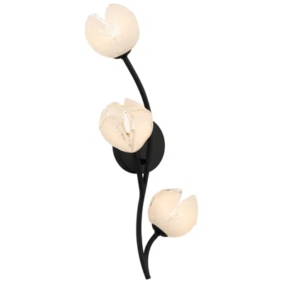Quoizel Walker 3-light Matte Black Wall Sconce
