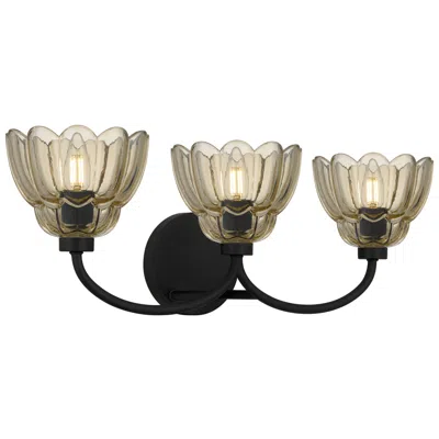Quoizel Whitecap 3-light Mottled Cocoa Vanity Light