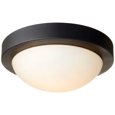 Quorum International 11" Textured Black Ceiling Mount