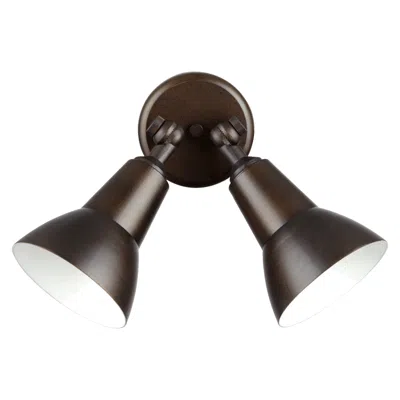Quorum International 2lt Oiled Bronze Floodlight In Black
