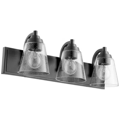 Quorum International 3lt Transitional Textured Black Vanity Light