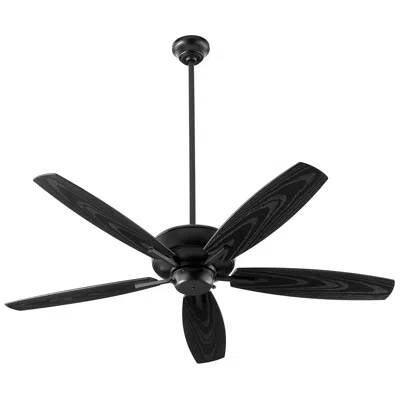 Quorum International Breeze 52" Textured Black Wet Fan
