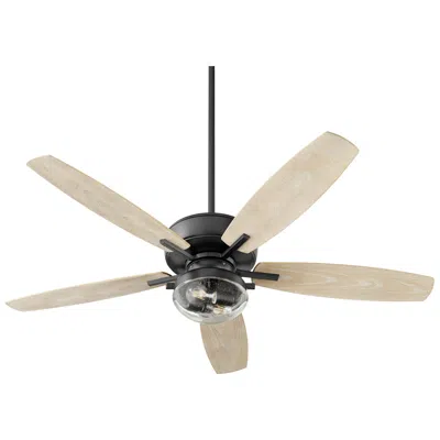 Quorum International Breeze 52" Textured Black Wet Uni-pk Fan