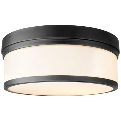 Quorum International Celeste 14" Textured Black Ceiling Mount