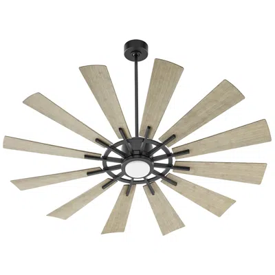 Quorum International Cirque 60" Matte Black/weathered Gray Fan