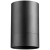 Quorum International Cylinder 4" Textured Black Ceiling Mount In Multi
