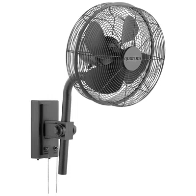 Quorum International Cyprus 13" Matte Black Wall Fan